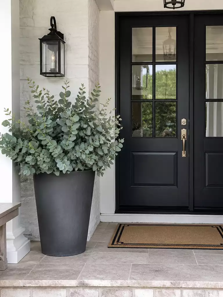 Faux Eucalyptus