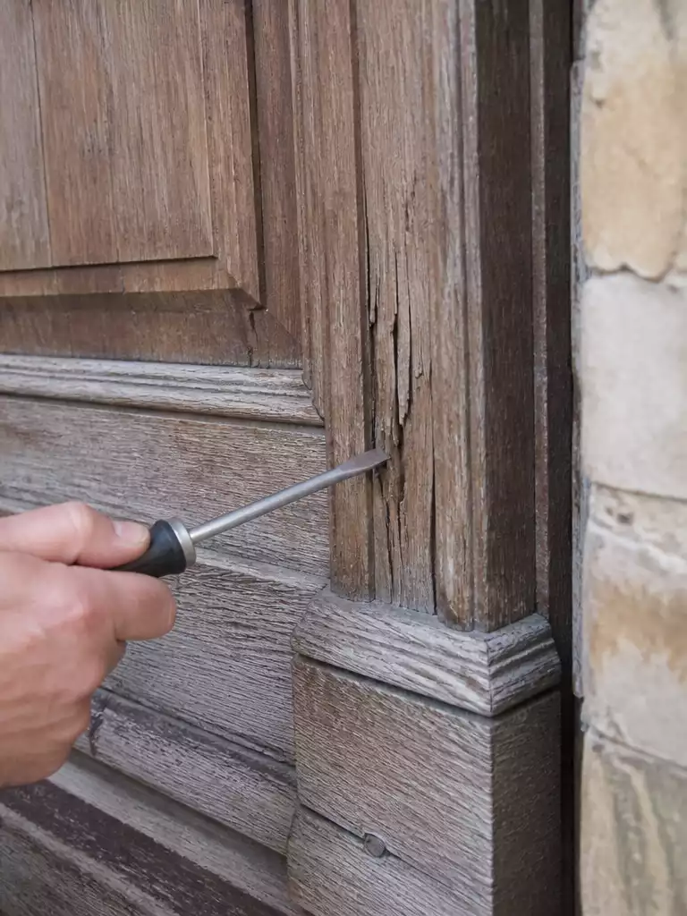 Assess the Damage and Wood Condition