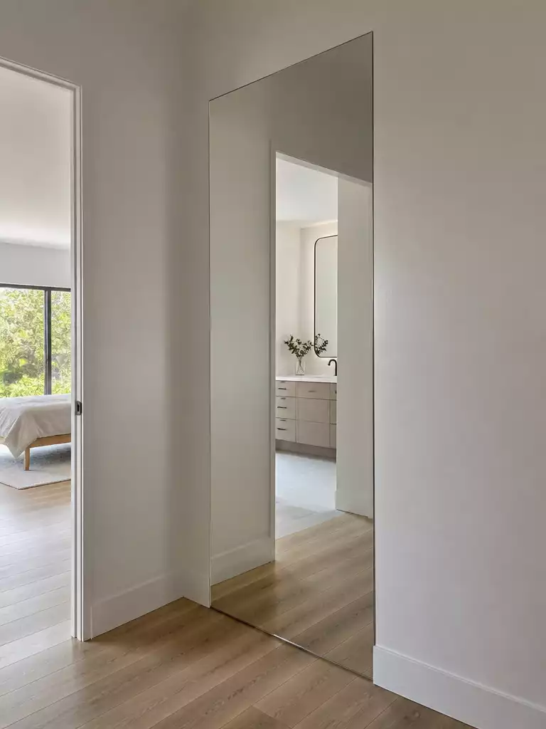 Mirror Disguised Doors