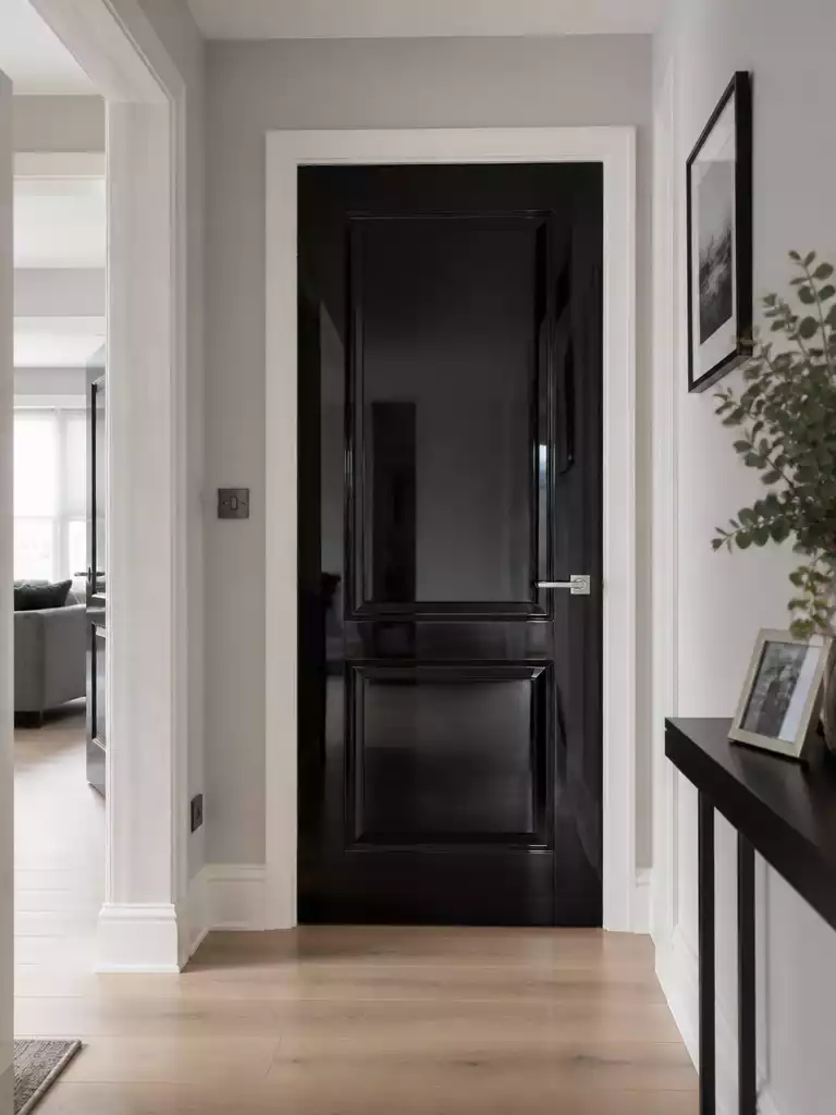 High Gloss Black Door
