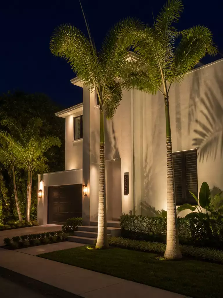 Uplit Palms And Facade