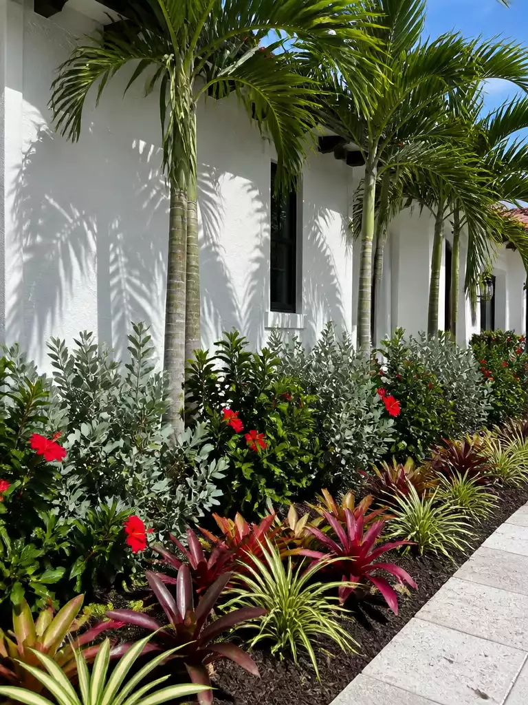 Tropical Layered Planting